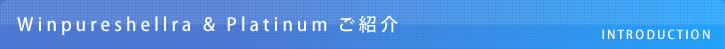 MYSミスティック キャンピングカー WinpureShellra|ウィンピュアシェルラ|Platinum|プラチナム| ご紹介