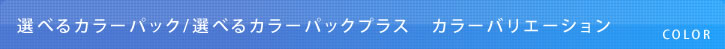 MYSミスティック キャンピングカー カラーバリエーション